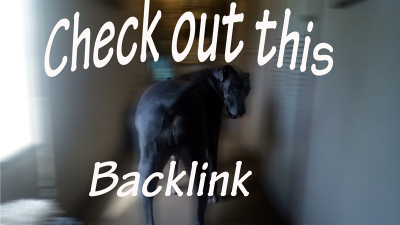 Show a expample of a backlink.